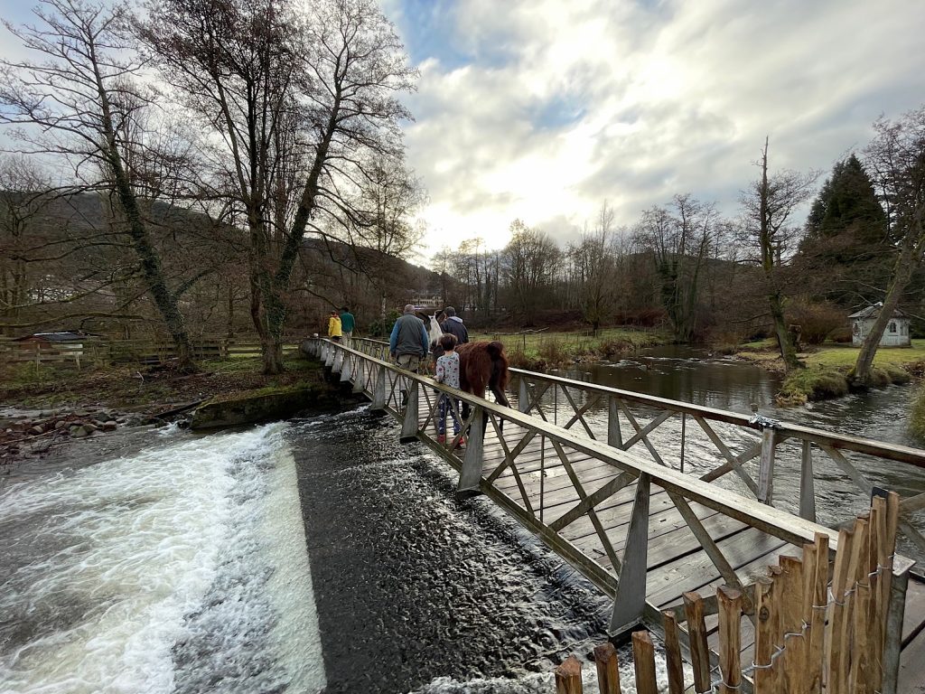 Arrivée de Serge - 2