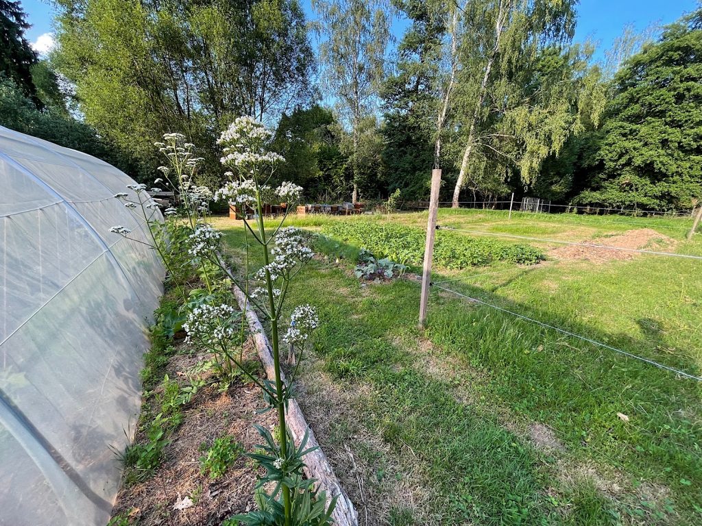 Potager 2026-06-2