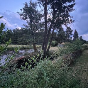 La Bruche de nuit en été