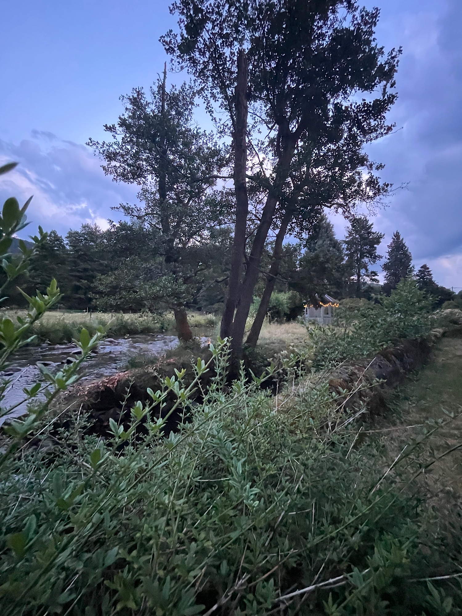 La Bruche de nuit en été