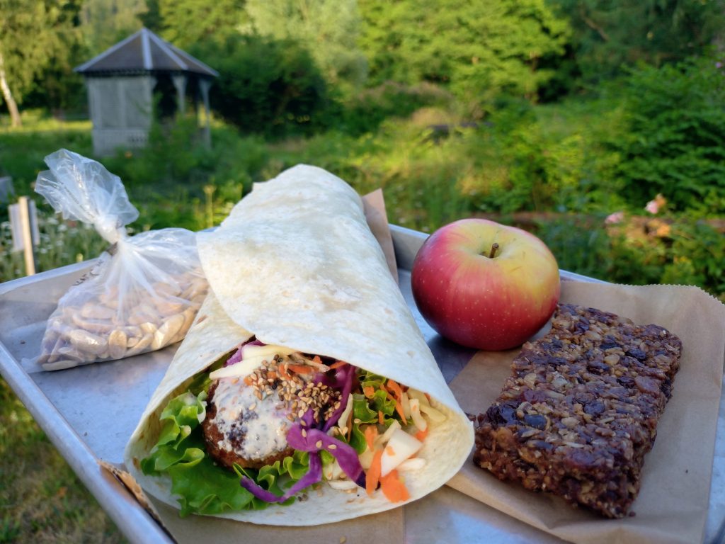 Pique niques des randonneurs : sandwich falafel maison, barre granola maison, cacahuètes, fruit de saison